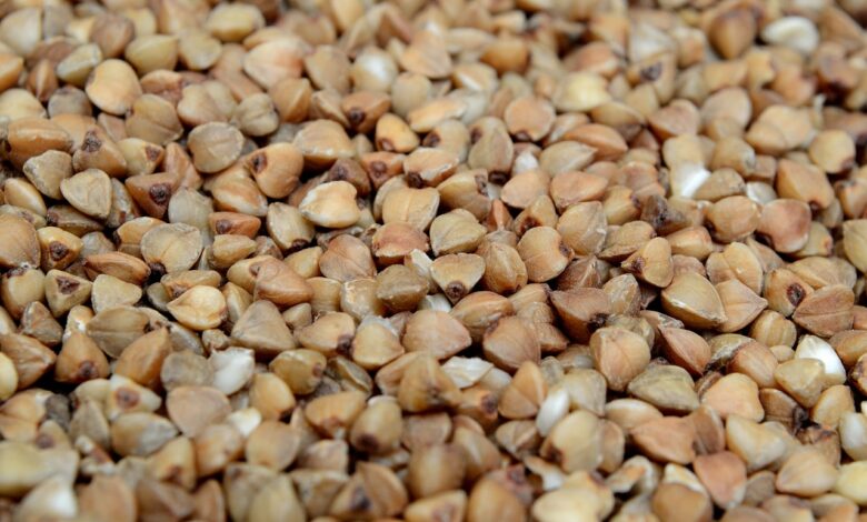 buckwheat, food, nutrition, close-up, health, porridge, macro, healthy food, delicious, vegetarian, buckwheat, buckwheat, buckwheat, buckwheat, buckwheat