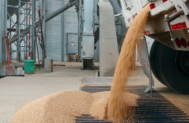 Truck unloading wheat at industrial grain facility. Vertical shot emphasizing storage silos.