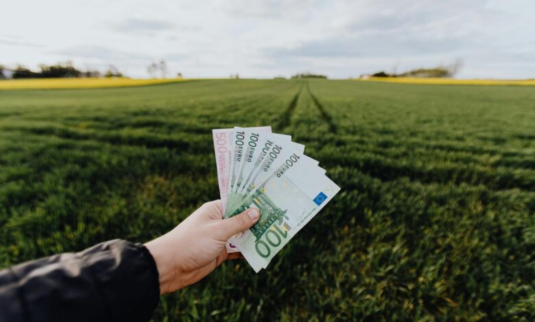 Crop unrecognizable farmer with one hundred and five hundred euro banknotes in hand in large green rural field on summer day