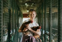 A young woman standing in a chicken coop holding two hens, showcasing farm life.