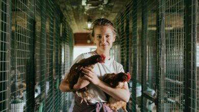 A young woman standing in a chicken coop holding two hens, showcasing farm life.