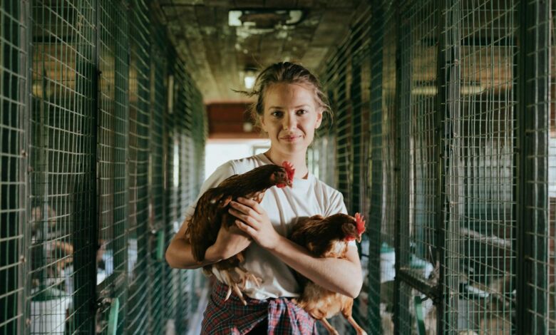 A young woman standing in a chicken coop holding two hens, showcasing farm life.