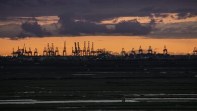 cranes, port, valencia