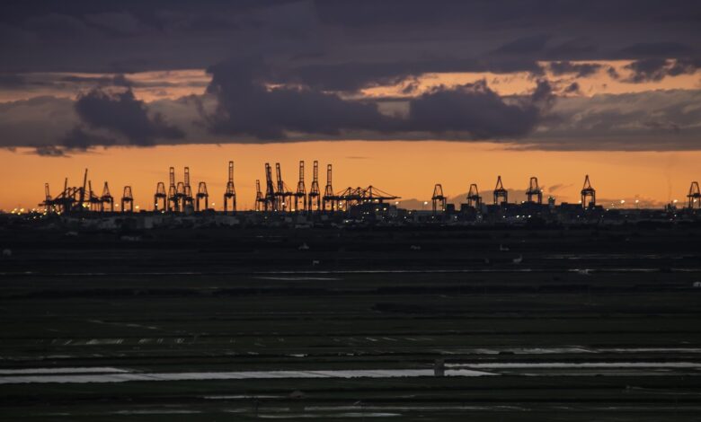 cranes, port, valencia
