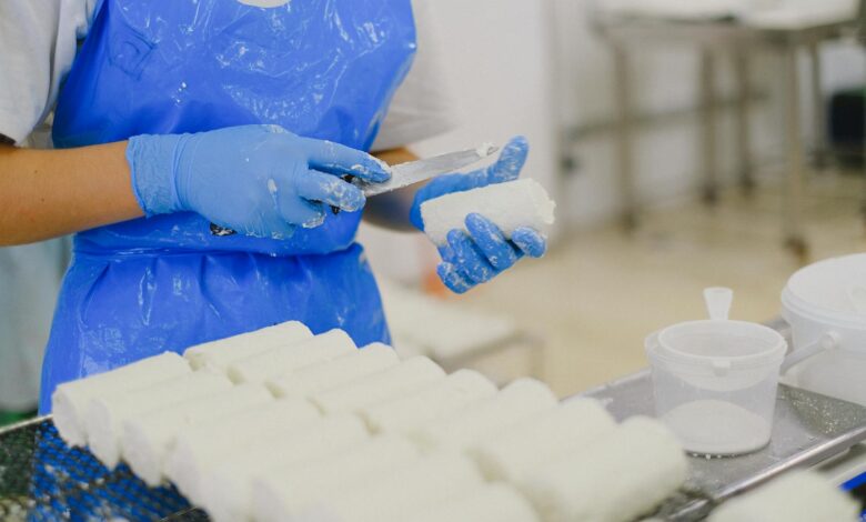 Worker processing cheese with gloves in a sterile dairy factory environment.