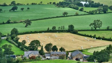 farming, agriculture, farm, crops, fields, greenery, rural, farming, agriculture, farm, farm, farm, farm, farm, rural