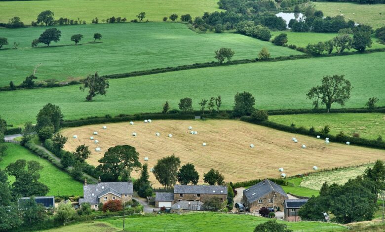 farming, agriculture, farm, crops, fields, greenery, rural, farming, agriculture, farm, farm, farm, farm, farm, rural