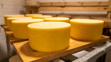 Aging cheese wheels in a rustic warehouse in North Carolina with natural wood shelving.