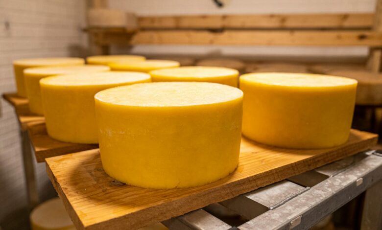 Aging cheese wheels in a rustic warehouse in North Carolina with natural wood shelving.