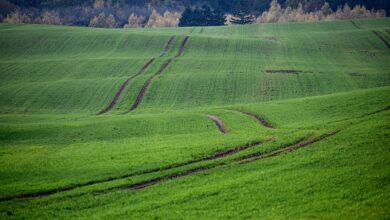 fields, traces, hills, orka, nature