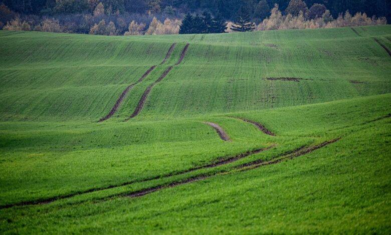 fields, traces, hills, orka, nature