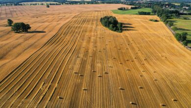 field, straw, agriculture, agricultural, nature, drone, landscape