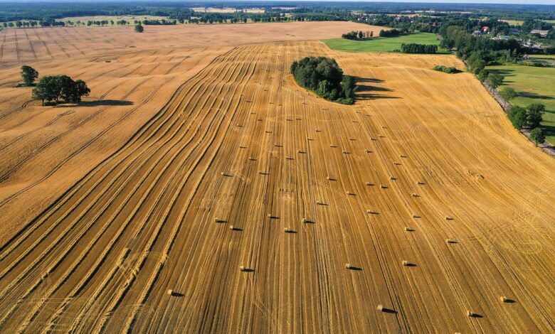 field, straw, agriculture, agricultural, nature, drone, landscape