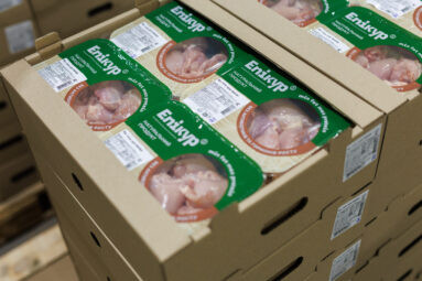 Інвестиції попри війну: як Avesterra Group масштабує птахівництво — інтервʼю з СЕО компанії Світланою Собіпан