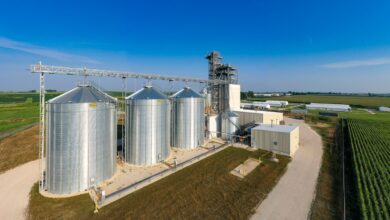 white and gray concrete building under blue sky during daytime