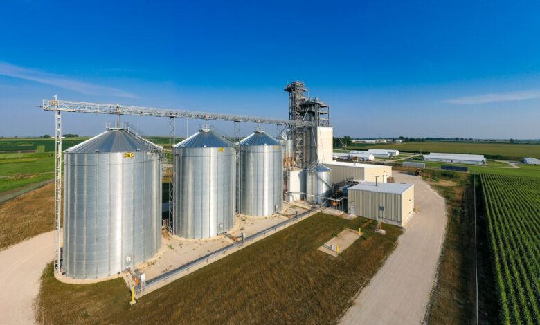white and gray concrete building under blue sky during daytime