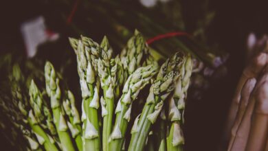 Close-up of fresh green asparagus spears, perfect for spring recipes.