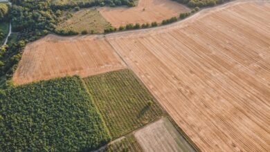 Aerial photograph showcasing diverse agricultural fields in Săcueni, Romania.