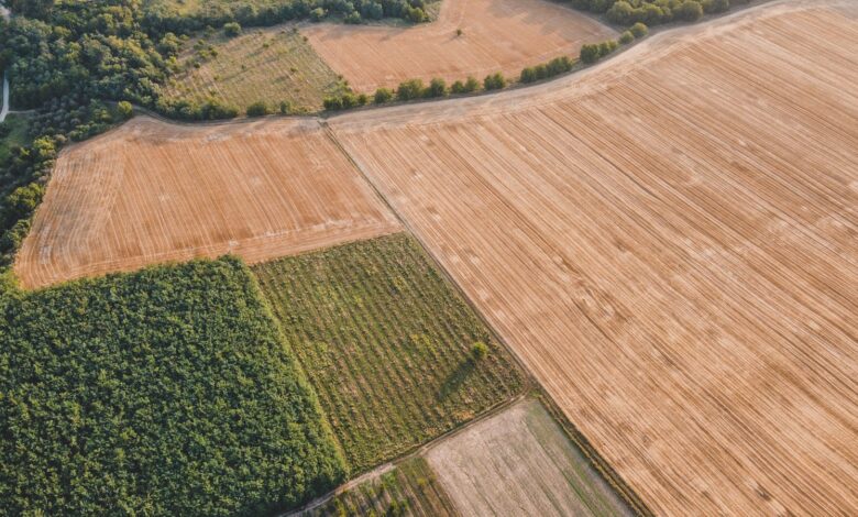 Aerial photograph showcasing diverse agricultural fields in Săcueni, Romania.