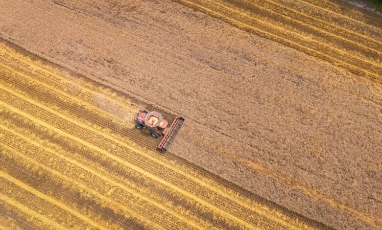 Drone shot capturing a harvester in a North Carolina wheat field from above.