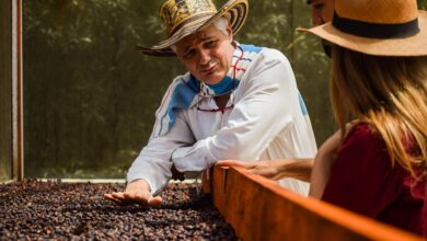 farmer, coffee, beans, processing, harvesting, brown farmer