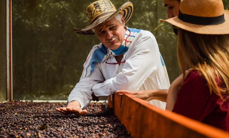 farmer, coffee, beans, processing, harvesting, brown farmer