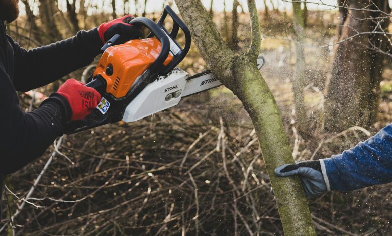 a man cutting a tree with a chainsaw