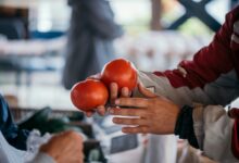a person holding three tomatoes in their hands