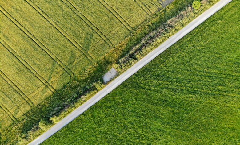 green open field view during daytime