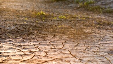 cracked ground, nature, desert, dirt, drought, brown desert