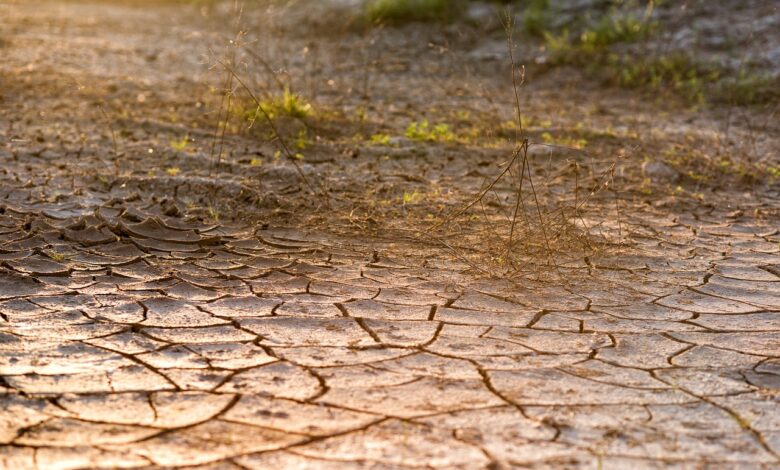 cracked ground, nature, desert, dirt, drought, brown desert