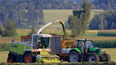 tractor, agriculture, agricultural machinery, green fodder, working machine, harvester, harvest, agricultural engineering, silage, agricultural economics, forage harvester, tractor, tractor, agricultural machinery, silage, silage, silage, silage, silage