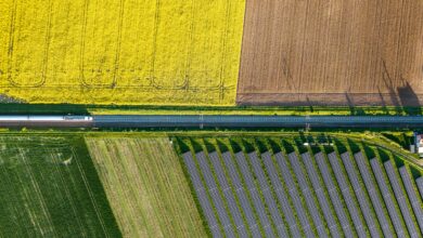 Train traveling through colorful agricultural fields from above.