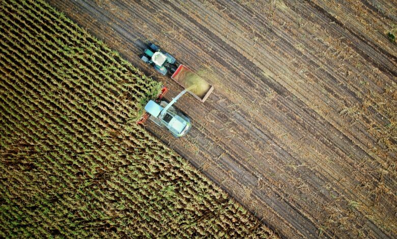 two trucks on plant field