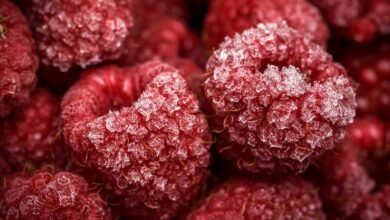 close-up photo of red fruits