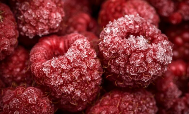 close-up photo of red fruits
