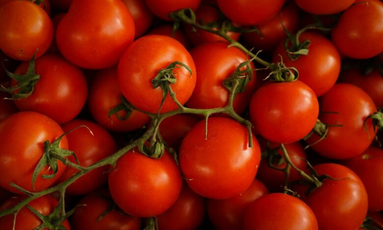 red cherry tomatoes