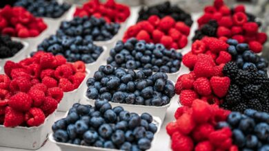 a group of berries