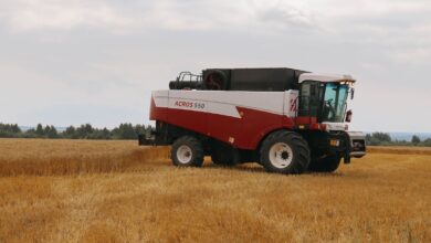 A combine harvester at work in a golden wheat field under a cloudy sky. Ideal for agriculture themes.