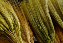 yellow and green woven textile