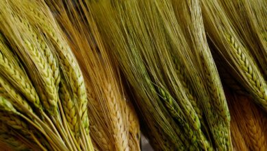yellow and green woven textile