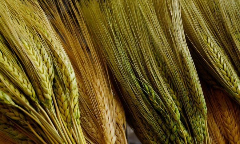 yellow and green woven textile