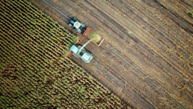 two trucks on plant field