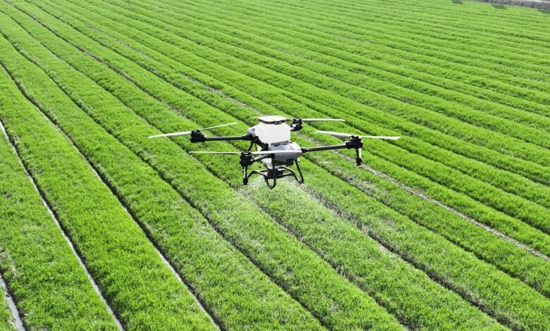 A large field of green grass with a small plane in the middle of it
