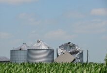 Severely damaged farm silos after a storm in a cornfield.