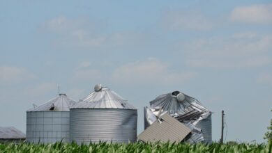 Severely damaged farm silos after a storm in a cornfield.