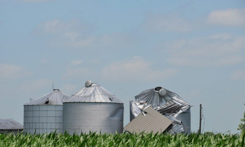 Severely damaged farm silos after a storm in a cornfield.