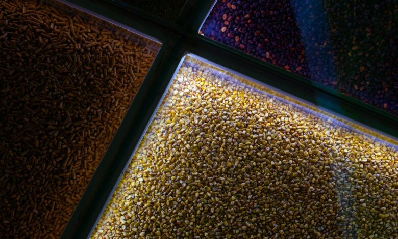 A close up of a window with different colored glass