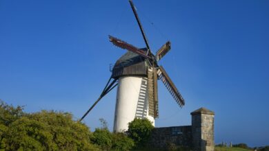 A windmill sitting on top of a lush green field