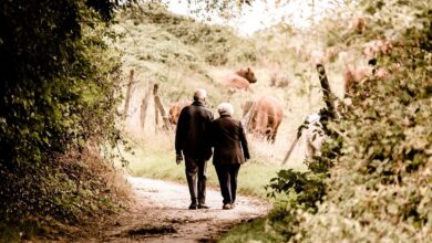 elderly, couple, walking, trail, countryside, rural, retired, leisure, path, elderly, elderly, elderly, elderly, couple, couple, couple, couple, couple, walking, walking, walking, walking